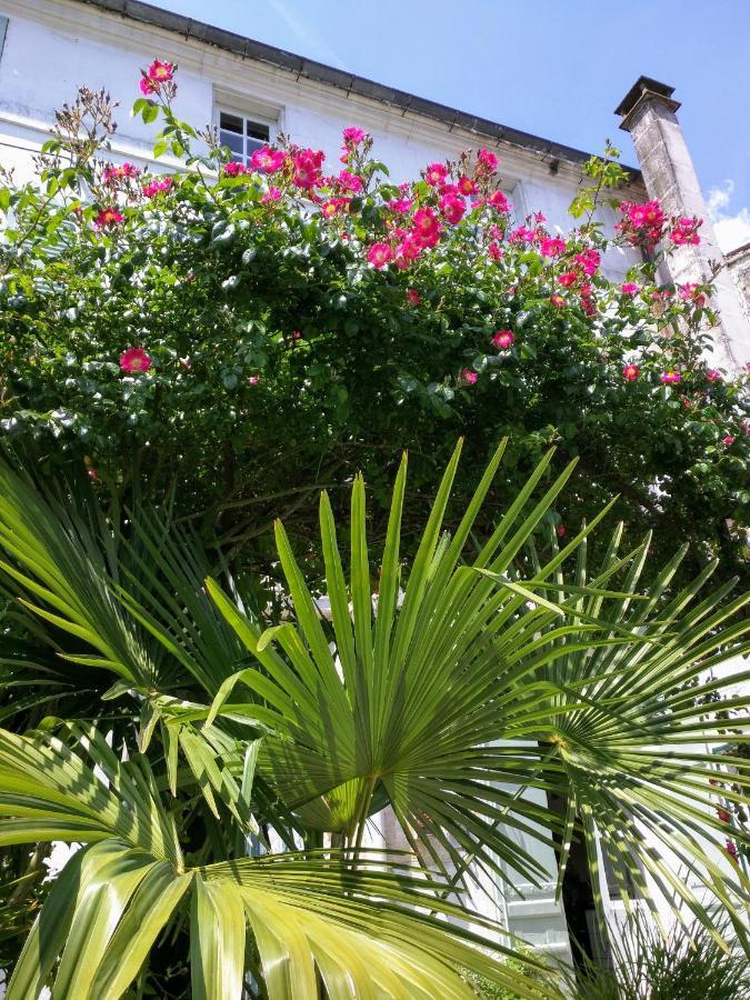 Saint-SavinienQuai Des Fleurs住宿加早餐旅馆 外观 照片